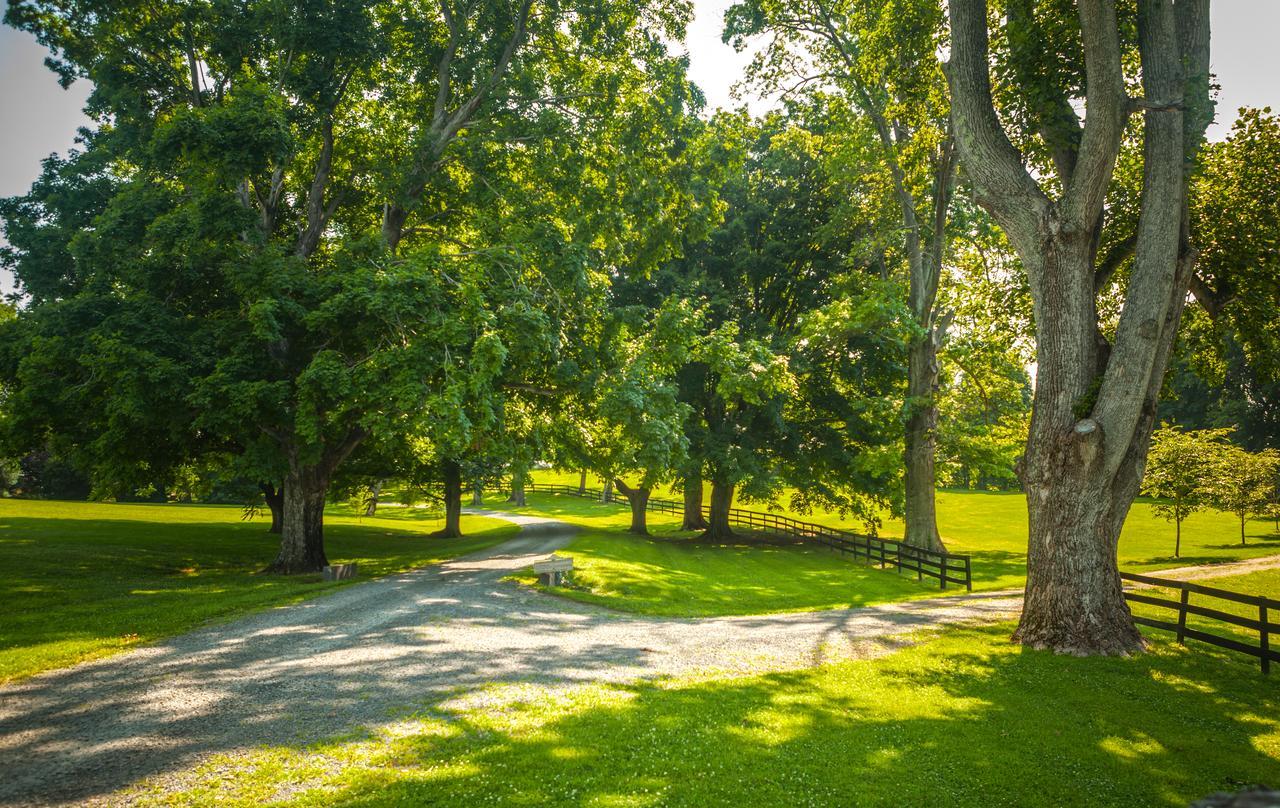 Bed and Breakfast Glen Gordon Manor Huntly Екстер'єр фото