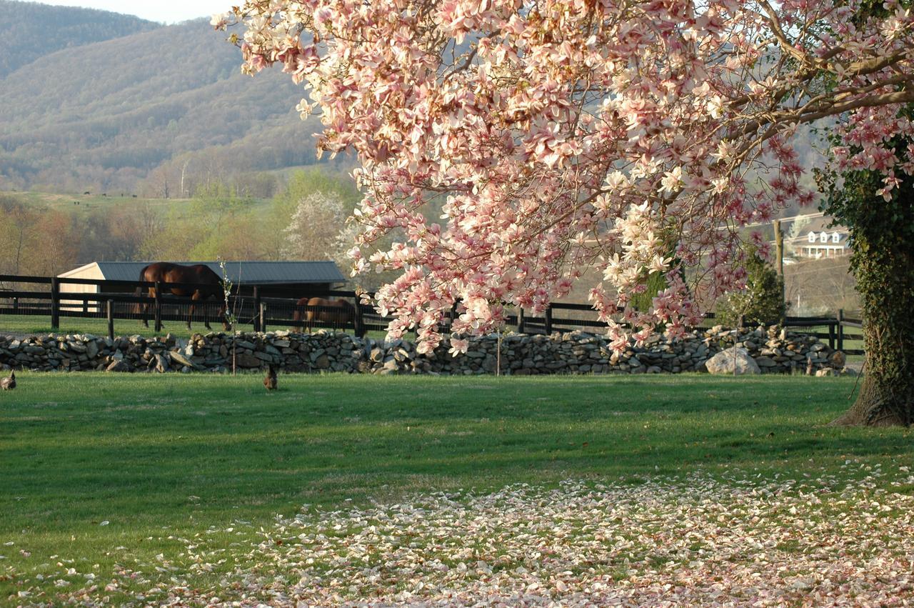 Bed and Breakfast Glen Gordon Manor Huntly Екстер'єр фото